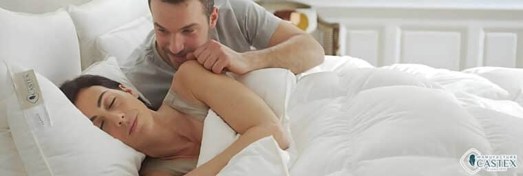 Castex - Couette Hiver oie